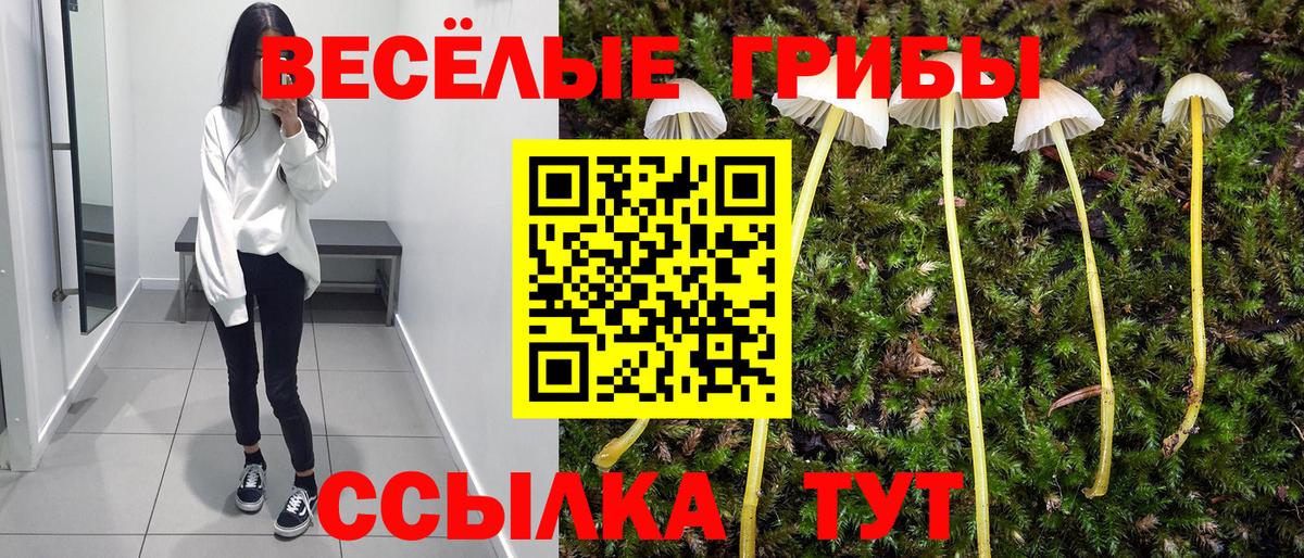 Псилоцибиновые грибы мицелий  что такое   Ликино-Дулёво  Вход с VPN 