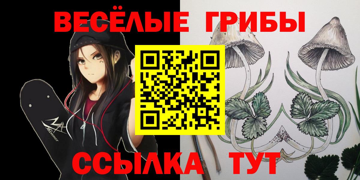 Галлюциногенные грибы мицелий Ликино-Дулёво